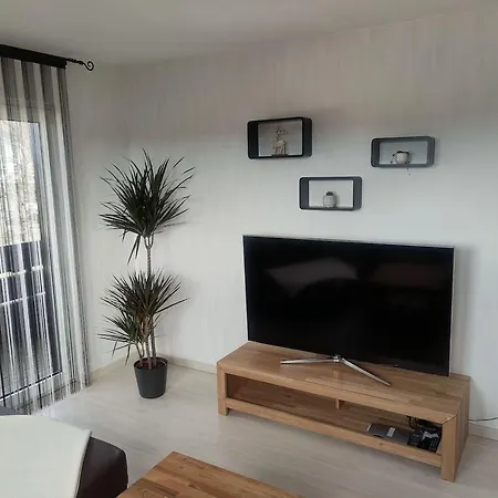 Black Forest Birdnest Apartment Schonach im Schwarzwald